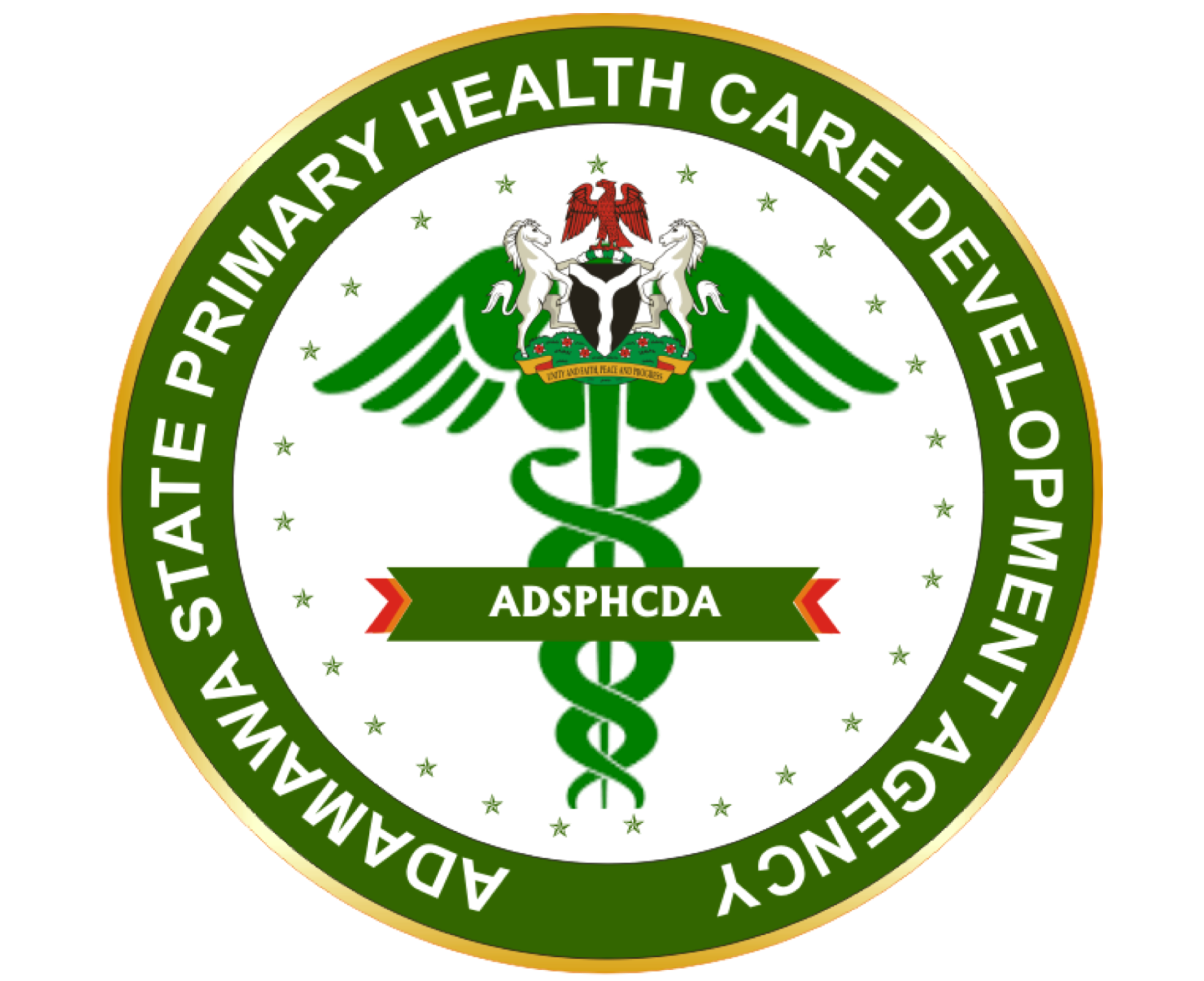 Healthcare delivery in Adamawa State