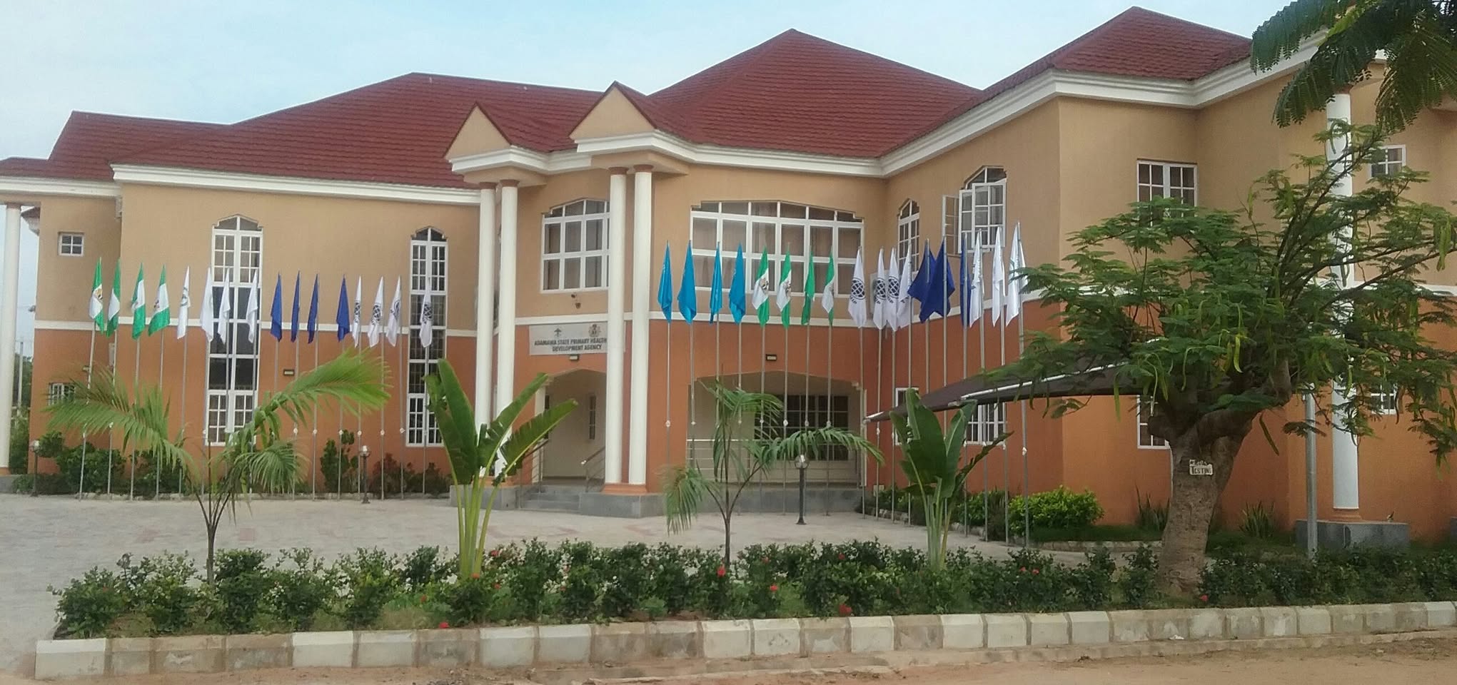 Primary Healthcare Workers in Adamawa State